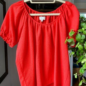 Madewell Texture & Thread Puff-Sleeve Top